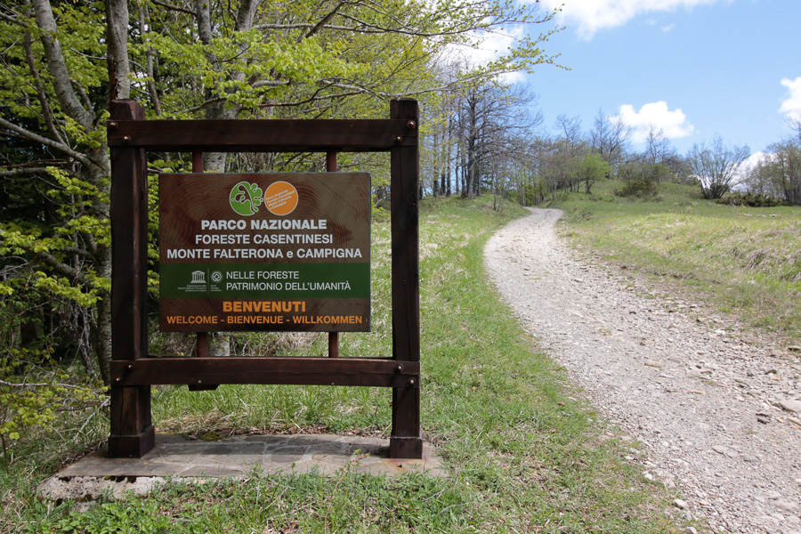 Trekking a Bagno di Romagna  