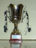 Albo d' Oro Torneo calcio Buonacompra