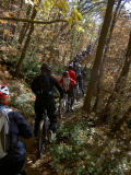 Monte Bibele
