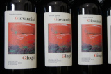 Iº edizione Sangiovese in MTB