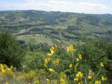 Parco della Vena del Gesso - Brisighella