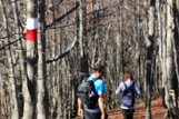 2 passi in appennino 